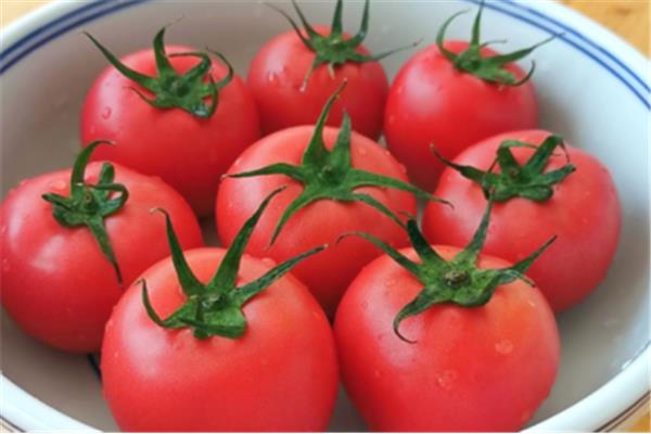 西红柿不熟能吃吗?西红柿有毒吗?