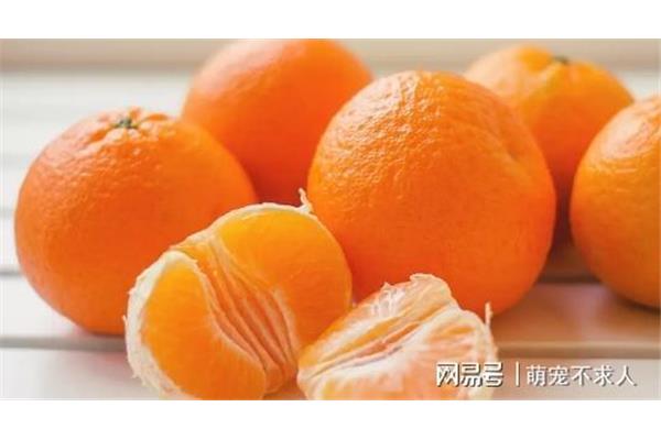 来月经可以吃橘子吗?吃橘子会影响月经吗?
