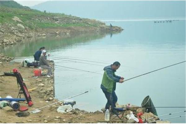 深圳银湖可以钓鱼吗?深圳哪里可以免费钓鱼?